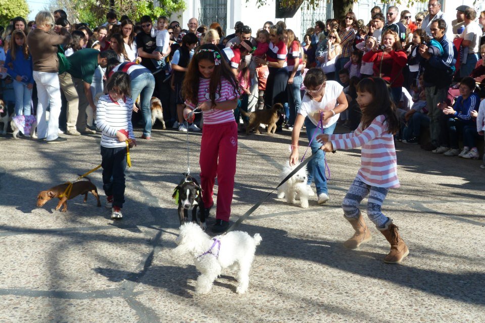  14º Desfile de Mascotas organizado por las señoritas del jardincito “Bumpi”